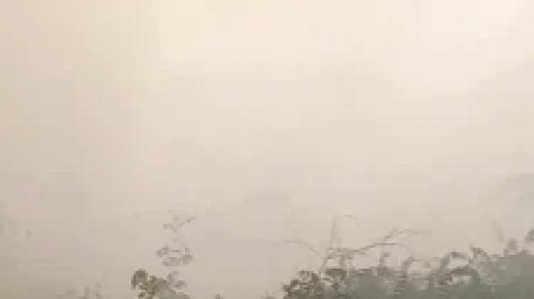 Kabut Asap Pagi Hari Jadi Perhatian, Aktivitas Sekolah di Kukar Ikut Disorot